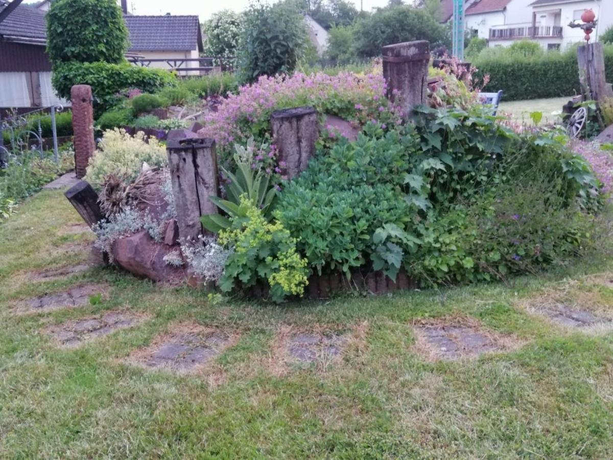 Ferienwohnung Am Steinchen 梅特拉赫 外观 照片